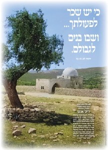 Picture of Vinyl Sukkah Poster Kever Rochel Imeinu 20" x 28"